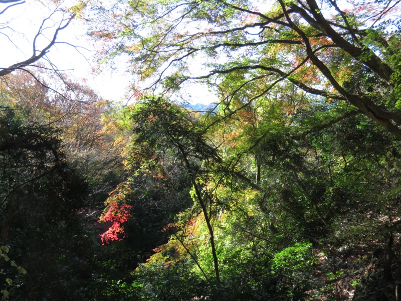 奥久慈・男体山